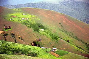 Asalem Khalkhal road - Zalzareh - panoramio (1)