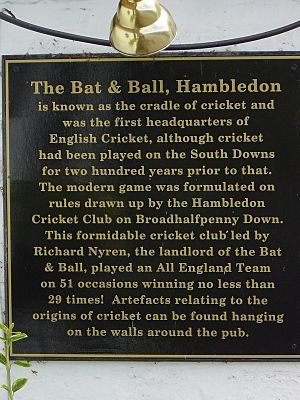 Bat and Ball Sign