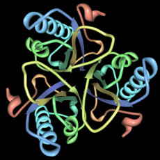 Chorismate-mutase-pdb-2CHS