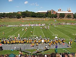 Chuck Noll field