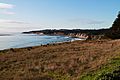 Coastline at Schooner Gulch State Beach California.jpg