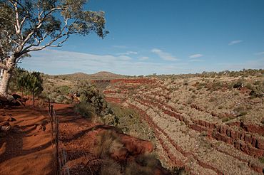 Dales Gorge, WA.jpg