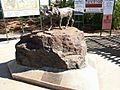 Dampier Red Dog, Western Australia