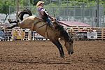 Deadwood rodeo 1.jpg