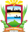 Official seal of Punto Fijo