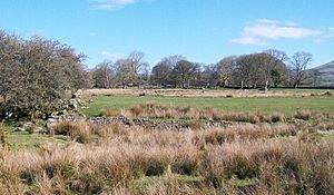 Fferm Clenennau,Clenenney Farm (geograph 1808278)