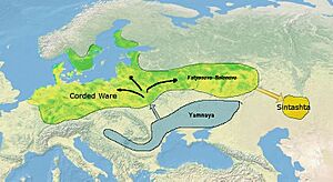 From Corded Ware to Sintashta