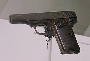 Gabrillo Princip's pistol (3444725633)