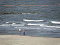 Grand Isle collecting samples