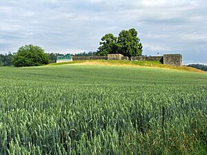 Irgenhausen castrum (NW) IMG 3377