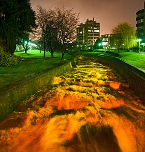 Leith Stream, Dunedin, NZ, high flow