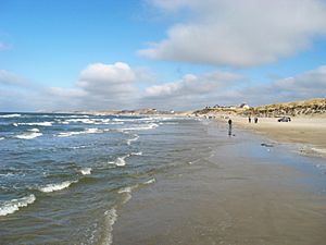 Loekken Strand 2009 ubt