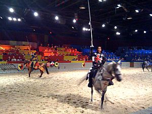 Medieval Times Dinner Horses