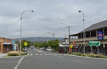 Merriwa Bettington Street 001.JPG