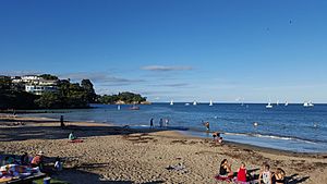 Milford Beach Auckland