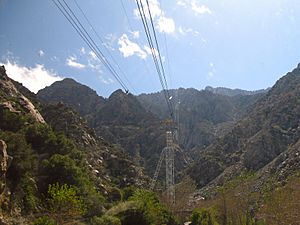 PS-Tram-Looking-Up