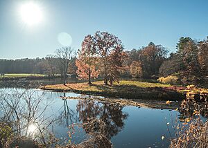 Paradise Pond