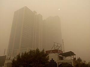 Poulluted killer fog in Delhi