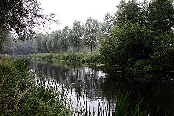 River Chelmer.jpg