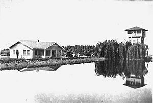 ShafterCottonResearchStation1922.jpg