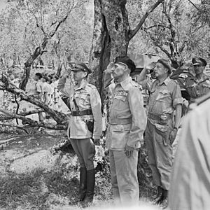 The Battles of Monte Cassino, January - May 1944 NA15352