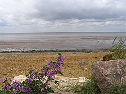 The Wash, Heacham beach