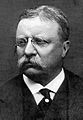 Theodore Roosevelt