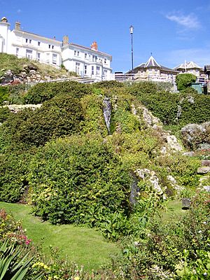 Ventnor cascade