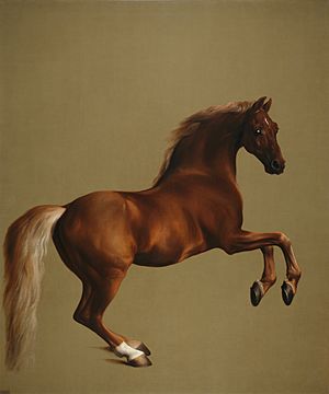 Whistlejacket by George Stubbs edit