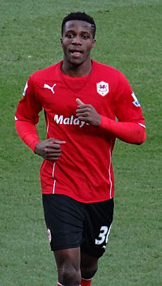 Wilfried Zaha 01-02-2014 1