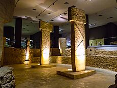 Şanlıurfa Müzesi Göbeklitepe D Tapınağı