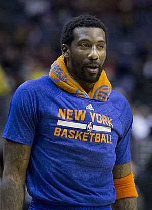 Amar'e Stoudemire Knicks 2013.jpg