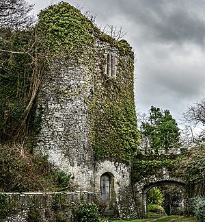 Ardfinnan Castle circular keep