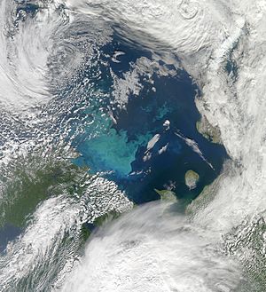 Barents Sea in Bloom