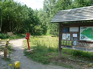 Beacon Wood Country Park, Bean - geograph.org.uk - 1402834.jpg