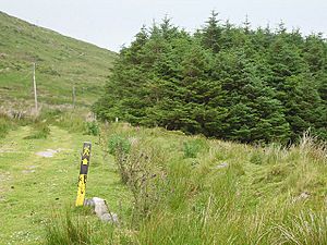 Beara Way waymark - geograph.org.uk - 263740