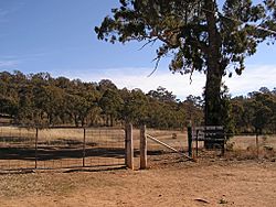 CanberraNatureParkRedHill