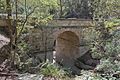 DSC2683-1 Lennox Bridge Glenbrook