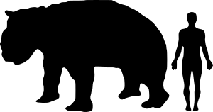 Diprotodon-Human Size comparison