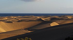 Dunas de Maspalomas