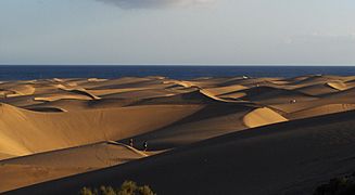 Dunas de Maspalomas