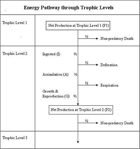 Energy transfer