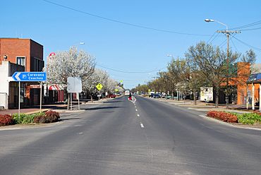 Finley Murray Street.JPG