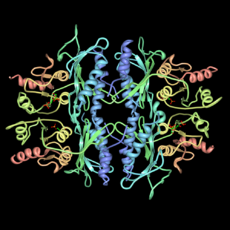 Fructose-1.6-bisphosphatase-pdb-3FBP