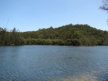 Garigal National Park.jpg