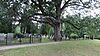 Hartland Burying Ground (Michigan).jpg