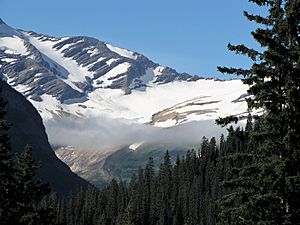 Jackson Glacier 7.2017