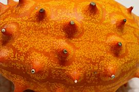 Kiwano peel - 2021