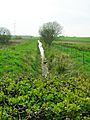 Loch of Trabboch and drain