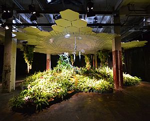 Lowline Lab